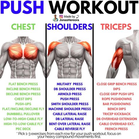 If you're working out 5-6-days a week, then implementing a PUSH workout could be a great idea to achieve your goals.⁠⠀⁠Simply pick 1-3 exercises from each row for your PUSH workout and FOCUS on your heavy compound exercises first, while making sure your form is on point!⁠ Push Pull Split, Push Pull Legs Routine, Push Pull Legs Program, Push Pull Legs Workout, Push Day Workout, Big Biceps Workout, Pull Up Workout, Push Workout, Push Day