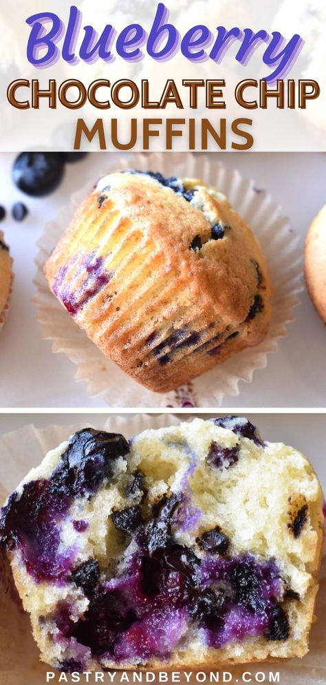 Blueberry Chocolate Chip Muffins Healthy, Blueberry And Chocolate Muffins, Blueberry Chocolate Muffins, Blueberry Chocolate Chip Cookies, Moist Blueberry Muffins Recipe, Choclate Chip Muffins, Chocolate Blueberry Muffins, Frozen Blueberry Muffins, Blueberry Muffins Easy