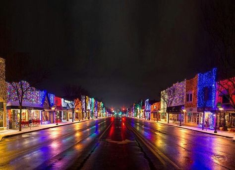 Downtown Rochester Michigan. Beautiful Rochester Hills Michigan, Michigan Christmas, Rochester Michigan, Christmas Light Displays, Mormon Temple, Living Modern, State Of Michigan, Pure Michigan, Christmas Light