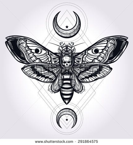 Moth Tattoo Design, Tattoo Painting, Deaths Head, Bug Tattoo, Insect Tattoo, Tattoo Trend, Hawk Moth, Moth Tattoo, Geniale Tattoos