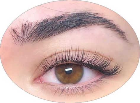 Natural Looking Eyelash Extensions, Natural Fake Eyelashes, Natural False Lashes, Lashes Fake Eyelashes, Eyelash Extensions Styles, Perfect Eyelashes, Natural Eyelash Extensions, Lash Extensions Styles, Pretty Lashes