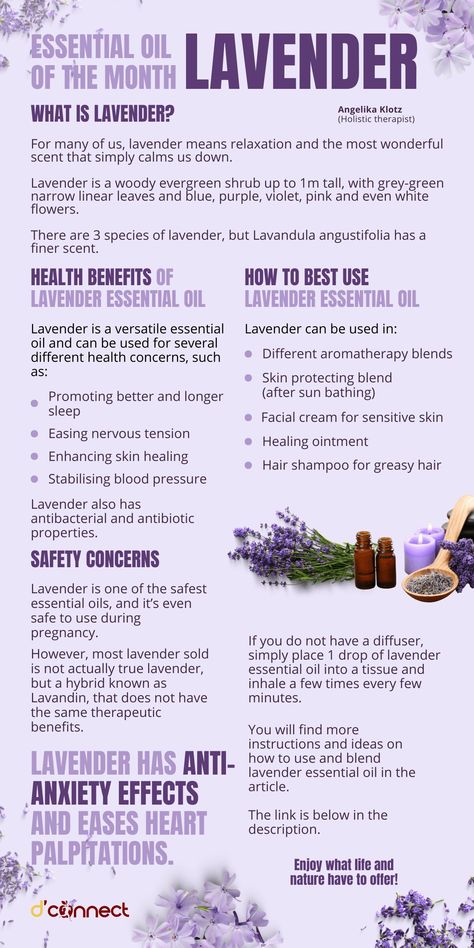 Lavender is one of the most versatile essential oils, and throughout history it was used in the kitchen for cooking, as an antiseptic and antibacterial aid, and recently research has focused on its use as a relaxing aid during heart surgery. Diy Lavender Oil, Lavender Meaning, Nature Knowledge, Lavender Ideas, Herbs Medicine, Kitchen For Cooking, Help With Sleep, Lavender Varieties, Lavender Crafts