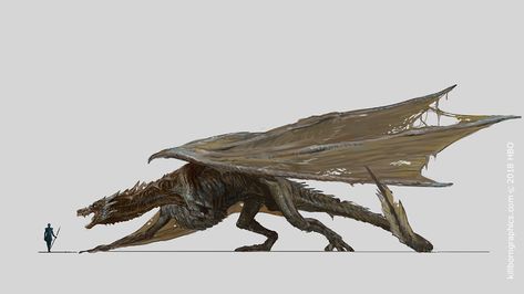 ArtStation - Game of Thrones - Season VII, Robert Simon Wyvern Reference, Game Of Thrones Concept Art, Dragon Concept Art, Dragon Game Of Thrones, Drogon Game Of Thrones, Dragon Concept, Game Of Thrones Dragons, Got Dragons, Legends And Myths