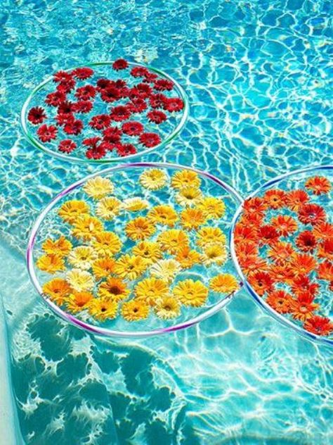 Pool Dekor, Holiday Gift Exchange, Pool Stuff, Pool Wedding, Fiesta Tropical, Pool Party Decorations, Party Tips, Pool Decor, Rachael Ray