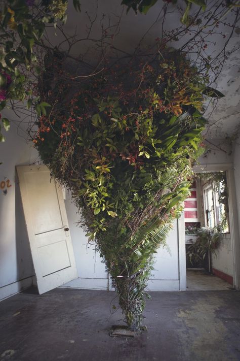 This abandoned house was filled with thousands of flowers - The Washington Post Detroit Houses, Abandoned Detroit, Flower House, Aromatic Plant, Flower Installation, Abandoned House, Hauntingly Beautiful, Cactus Y Suculentas, Deco Floral