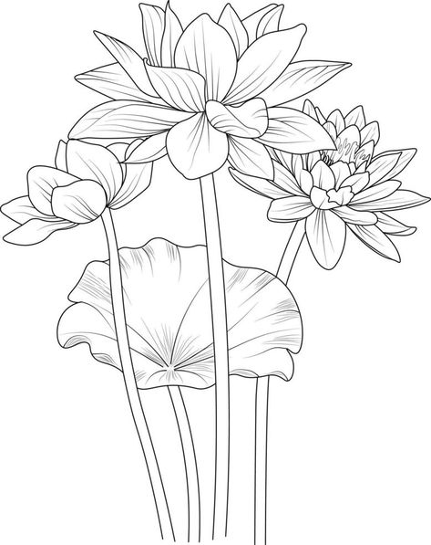 Lotus flower outline, Beautiful botanical floral pattern illustration for coloring page or book, Egyptian lotus flower sketch art hand drawn monochrome, vector art, illustration. Lotus Flower Sketch, Lotus Flower Outline, Lotus Artwork, Lotus Drawing, Egyptian Lotus, Lotus Flower Tattoo Design, Lotus Flower Art, Flower Sketch, Flowers Coloring