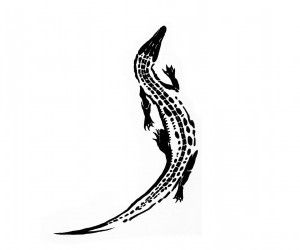 Small Alligator Tattoo Simple, Ankle Tattoo Men, Alligator Tattoo, Crocodile Tattoo, Dna Tattoo, Spooky Tattoos, Cool Small Tattoos, Tattoo Outline, Creative Tattoos