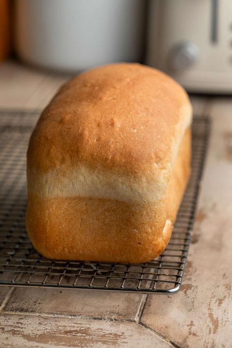 This sourdough discard sandwich bread is light and fluffy with a beautiful golden crust. It’s super easy, fast, and the perfect way to take your sandwich or toast to the next level. The softest bread you’ll ever eat! This sandwich bread is a family favorite. (My almost 4 year old loves a piece with just … Sourdough Discard Sandwich Bread Read More » The Clever Carrot Easy Sourdough Sandwich Bread, Sourdough Discard Sandwich Bread, Discard Sandwich Bread, The Clever Carrot, Clever Carrot, Sourdough Sandwich Bread, Sourdough Bread Sandwiches, Sourdough Sandwich, Blueberry Scones