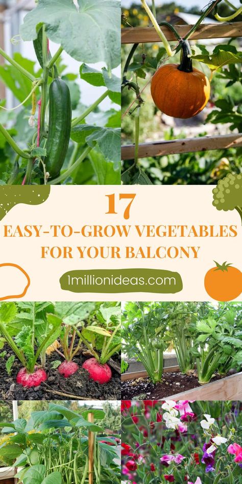 Have you ever thought of owning a compact garden in little spaces of your house yet? Growing a balcony vegetable garden that doesn’t need a green thumb or crazy amounts of space is a great way to harvest a fresh garden. If you’re considering starting a balcony vegetable garden, we’ve put together a list of 17 Easy-to-grow Vegetables For Your Balcony. Apartment Vegetable Garden, Balcony Vegetable Garden, Urban Gardening Balcony, Balcony Herb Gardens, Compact Garden, Little Spaces, Growing Peas, Garden Boxes Diy, Apartment Balcony Garden