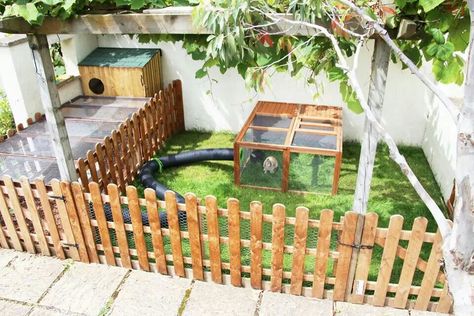 Rabbit Enclosures, Pet Bunnies, Guinea Pig Run, Bunny Things, Outdoor Pet Enclosure, Rabbit Stuff, Rabbit Enclosure, Enclosure Ideas, Guinea Pig House