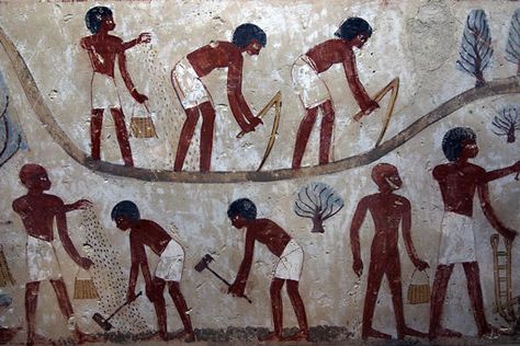 Social mobility was not impossible. A small number of peasants and farmers moved up the economic ladder. Boys could be sent to school, become scribes, work their way up to government Social Structure, Kemet Egypt, Egyptian Painting, The Bible Movie, Ancient Hebrew, Ancient Egyptians, Egyptian History, The Nile, African History