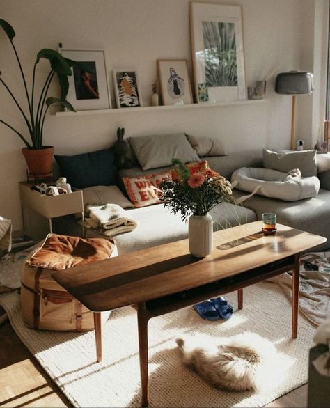 A cozy living room filled with sunlight, featuring a beloved cat, light bright and navy blue accents, and warm wood pieces, creating a homely and inviting space. Homely Living Room, Boho Apartments, Apartment Art, Small Apartment Living, Light Bright, Vintage Interior, Room Interior Design, New Living Room, Cozy Living Rooms