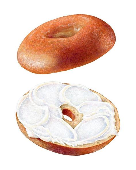 Bagel Painting, Bagel Drawing, Bagel Illustration, Kendyll Hillegas, Bagel Art, Homemade Recipe Books, Bagel Cream Cheese, 귀여운 음식 그림, Bagel Shop