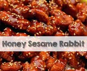 Who needs fast food when you have Honey Sesame Rabbit Recipe? Sweet and tangy with just a hint of spice - this is a great way to prepare rabbit meat. Recipes For Rabbit Meat, How To Cook Rabbit Recipes, Best Rabbit Recipe, Fried Rabbit Recipe, Rabbit Recipes For Dinner, Rabbit Tacos, Rabbit Meat Recipes, Rabbit Recipes Easy, Cooking Rabbit