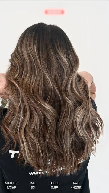 Lowlights Highlights, Curly Hair Specialist, Honey Highlights, Dimensional Brunette, Partial Highlights, Warm Brunette, Mane Addicts, Brown Hair Looks, Dimensional Blonde