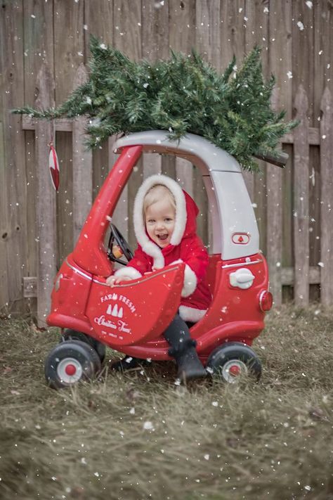 🌲❤️🌲"May you never be too grown up to search the skies on Christmas Eve." - unknown 🌲❤️🌲 And this is most likely Santa's cutest Little Helper. Can you tell how much Allie enjoyed the Cozy Coupe ? And how darlin is the the little jacket she is wearing ? Toddler Christmas Photos, Newborn Christmas Pictures, Tree Farm Photo Shoot, Christmas Baby Pictures, Toddler Pictures, Toddler Photoshoot, Baby Christmas Photos, Xmas Photos, Family Christmas Pictures