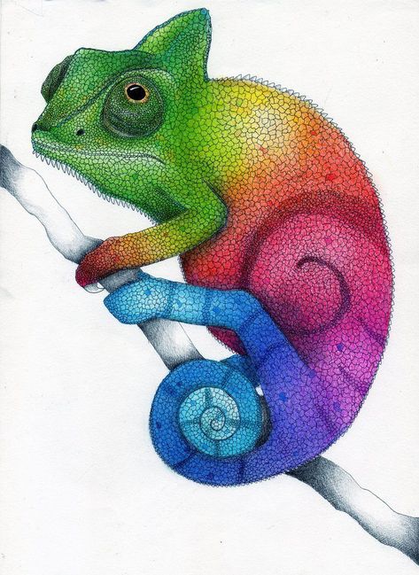 Camaleon Mexicano Dibujo - Google Search 966 Pointism Art, Pointillism Drawings, Cameleon Art, Chameleon Drawing, Chameleon Craft, Rainbow Chameleon, Color Wheel Projects, Color Wheel Art, Chameleon Art