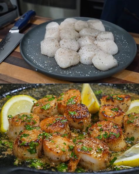 The Secret to Making Perfect Savory Butter Garlic Scallops - Greenku Recipes Scallops Provencal Ina Garten, Scallop Dinner Recipes, Scallops Provencal, Garlic Scallops Recipe, Scallop Dinner, Cooking Scallops, Garlic Scallops, Savory Butter, Fresh Scallops