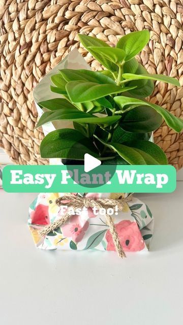 The Shortcut Girl • Tips & Tricks for Home + General Life on Instagram: "Wrapping a plant is arguably, unnecessary. 
But this looks really cute and that is definitely IS. 

#wrappingideas #giftplants #hostessgift #giftwrappinghacks #giftwrappingideas #giftwrapped #wrappingpaper #wrappingpaperhacks #hostgift #plantgifts #housewarminggift #giftwrapping #presentwrapping" Gift Wrapping Inspiration, Present Wrapping, Host Gifts, Easy Plants, Girl Tips, Plant Gifts, Hostess Gifts, Wrapping Paper, House Warming Gifts