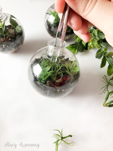 How to make terrarium ornaments! #terrarium #ornaments #diy #diyornament #handmade #handmadeornament #ornament #terrariums #fauxplants #christmasornament Diy Christmas Terrarium, Terrarium Ornaments Christmas, Terrarium Christmas Ideas, Terrarium Ornaments, Air Plant Ornament, Fairy Trees, Clear Ornament Balls, Glass Ornaments Diy, Plastic Terrarium