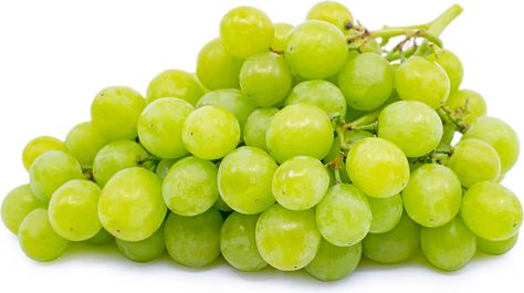 GREEN MUSCAT GRAPES- Green Muscat grapes can be eaten fresh out-of-hand or added to fruit salads and paired with cheese courses. They are often dried for golden raisins or made into wine because the flavor of the grape does not diminish. Green Grapes Aesthetic, Sunrise Trilogy, Grape Aesthetic, Muscat Grapes, College Portfolio, Grape Drawing, Prophetic Dreams, Asian House, Cheese Course