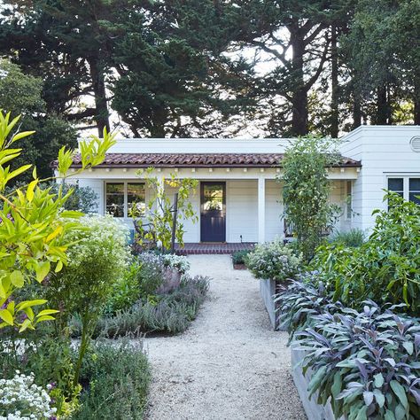 Cottage-style edibles  This Bay Area garden designed by Pine House Edible Gardens paves the way to the front door with bountiful garden beds. Lined with purple sage and jalapeño plants on the right with lavender and kitchen herbs clustered along the left, the entire space is stylishly contained in squared-off plots. Potage Garden, Suburban Farm, Garden Walkways, Kitchen Backyard, Edible Gardens, Purple Sage, Small Front Yard Landscaping, Garden Paving, Front Yard Design