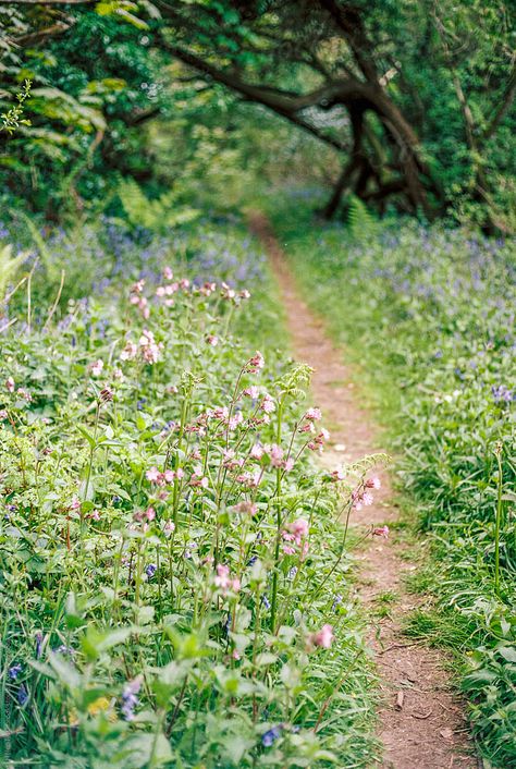 Woodland Meadow, Hedgerow Flowers, Community Spaces, Ideal Aesthetic, Woodland Flowers, Genius Loci, Farm Garden, Cottage Life, Spring Mood