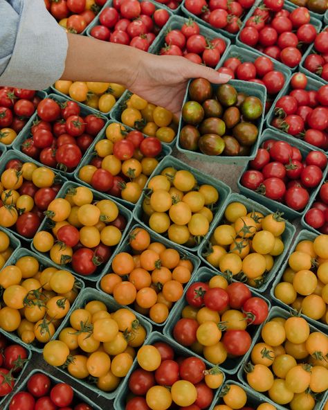 A Saturday morning farmers market is one of my favorite things about summer ✨☀️ @greencitymarket Talent: @onemanagementchicago @girlblonded @lizcole8 Styling: @mel.romanski #chicagolifestylephotographer #femininelifestyle #farmersmarket #lifestylephotographer #femalephotographer Farmers Market Photography, Farmers Market Photoshoot, Market Photography, Nov 2, Female Photographers, Saturday Morning, My Favorite Things, Lifestyle Photographer, Farmers Market