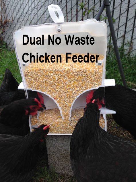 No Waste Rodent Chicken Feeders | Living Center Oregon No Waste Chicken Feeder, Chicken Tips, Chicken Feeder Diy, Chicken Pen, Chicken Feeders, Chicken Feeder, Backyard Flocks, Chicken Garden, Building A Chicken Coop