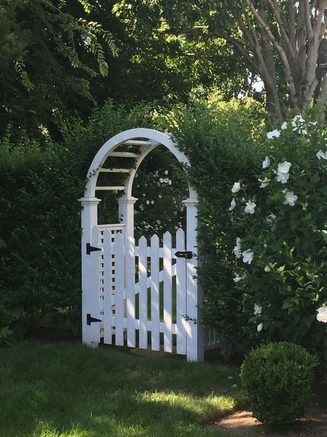 Front Yard Hedges, Garden Arbor With Gate, Side Yard Gate, Arbor Gate, Bay Trees, Picket Gate, Arch Gate, Yard Gate, Garden Gate Design