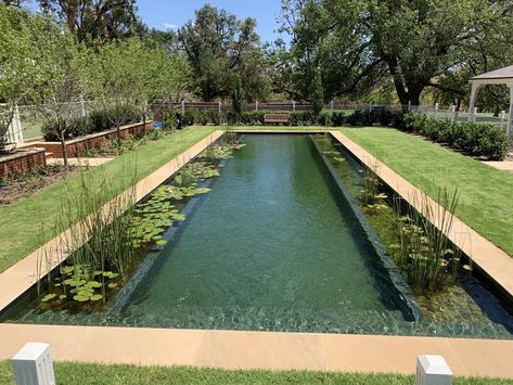 Having completed nearly 70 biologically filtered pools across Australia, Natural Swimming Pools Australia was recently commissioned to convert an existing chlorine pool into a natural pool for a large homestead at the iconic Detroit Station in New South Wales. The team converted the pool just in time for the visit of Prince Charles and Camilla Parker Bowles. Luxury Pools Indoor, Large Pond, Natural Swimming Ponds, Swimming Pond, Pool Chlorine, Natural Swimming Pools, Luxury Pools, Natural Swimming Pool, Dream Pools