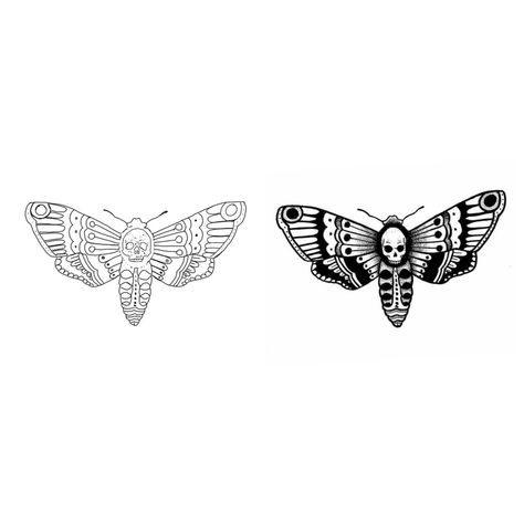 Skull Moth Tattoo Stencil, Moth Patchwork Tattoo, Skeleton Moth Tattoo, Moth Tattoo Fine Line, Fine Line Moth Tattoo, Moth Stencil, Moth Line Art, Simple Moth Tattoo, Moth Outline