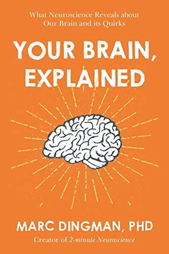 Your Brain, Explained: What Neuroscience Reveals About Your Brain and its Quirks by Marc Dingman, Phd Nucleus Accumbens, Vestibular System, Brain Training Games, Brain Science, Teaching Aids, Health Department, State College, Brain Training, Science Books