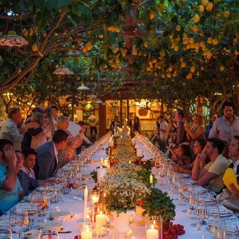 Capri Moments Weddings-Events on Instagram: "The secret of a successful wedding day? It’s the welcome dinner the day before it 😉 Design & Plannig @capri_moments Florist @caprioltreilgiardino Venue @paolinolemontreescapri Photo @santymartinezphotography #caprimoments #capri #capriwedding #capriisland #weddingincapri #casamentoemcapri #destinationwedding #destinationweddingincapri #destinationweddinginitaly #capriweddingplanner #weddingplannercapri #getmarriedinitaly #getmarriedincapri #matr Capri Wedding, Welcome Dinner, Capri Island, Vogue Wedding, Italian Dinner, Italian Wedding, Italy Wedding, Lake Como, Elope Wedding