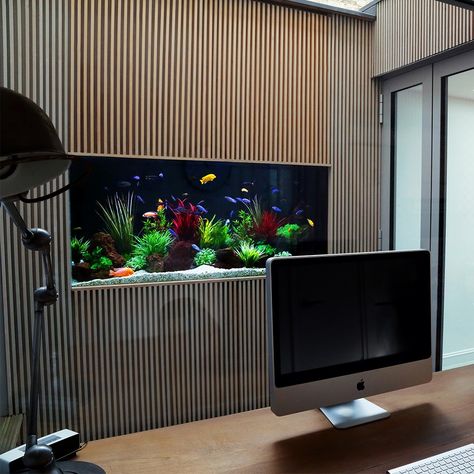 Modern Aquarium Ideas, Wall Aquarium Living Rooms, Home Aquarium Aesthetic, Wall Aquarium Ideas, Fend Shui, Salt Water Aquarium, Warm Home Aesthetic, Japandi House, Aquarium Architecture