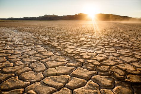 Dry Lake bed, Nevada Dry Lake Bed Wedding, Reno Nevada Photography, Nevada Day, Lake Mead Nevada, Dry Lake Bed, Wedding Dress Trends, Engagement Photoshoot, Photoshoot Ideas, Nevada