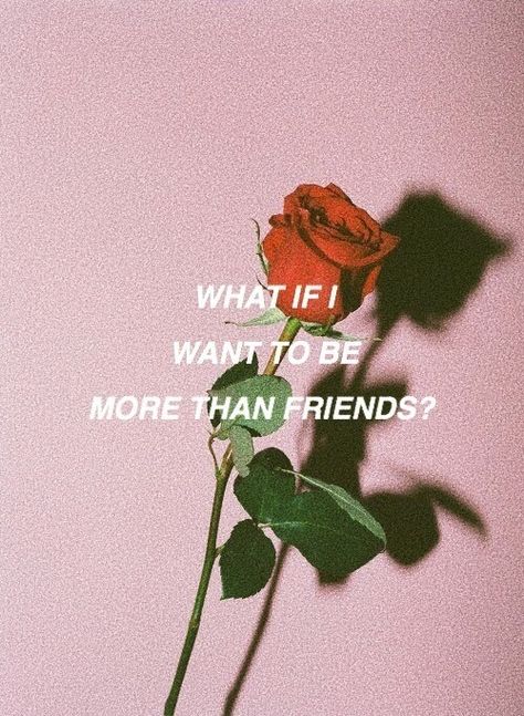 More Than Friends, Tumblr Quotes, Red Dead, Crush Quotes, Instagram Captions, Quote Aesthetic, Cute Quotes, White Rose, Red Rose