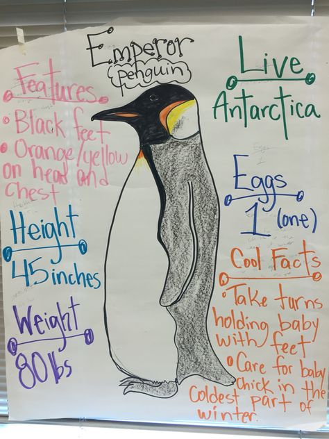 Emperor Penguin information chart Penguins Kindergarten, Penguin Research, Penguins Project, Penguin Facts, Kindergarten Anchor Charts, Penguin Theme, Polar Bear Art, Penguin Crafts, Information Poster