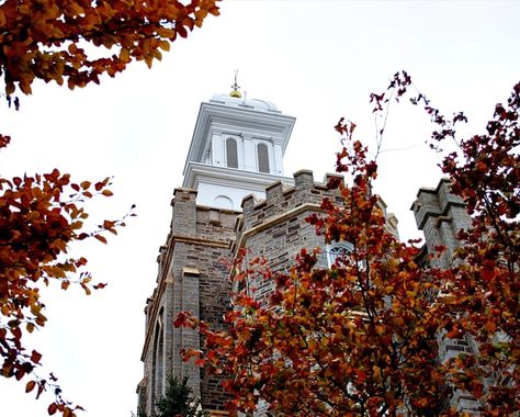 Does your focus wander during the temple endowment? Remember this - LDS Living Logan Utah Temple, Celestial Room, Follow The Prophet, Lds Living, Mormon Temples, Utah Temples, Temple Pictures, Logan Utah, Lds Art