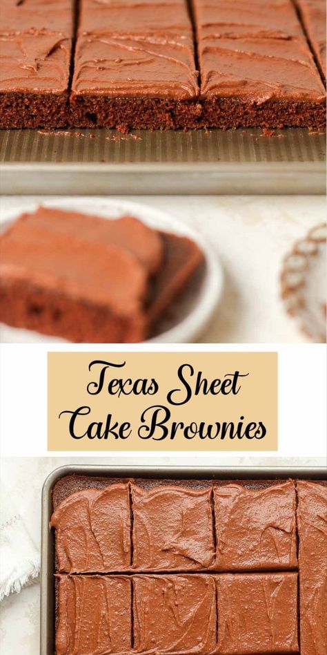 Enjoy the yumminess of Texas Sheet Cake Brownies – they're a chocolatey delight that everyone will love! This special recipe from Norma Jean’s Kitchen is a hit at gatherings. These brownies are super moist and delicious every single time! https://suebeehomemaker.com/texas-sheet-cake-brownies/ Texas Sheet Cake Brownies, Sheet Cake Brownies, Half Sheet Cake, Cake Brownies, Texas Sheet, Texas Sheet Cake, Appetizers Easy Finger Food, Cake Bars, Brownie Cake