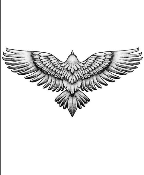 Hawk Drawing Tattoo, Hawk Tattoo Stencil, Falken Tattoo, Hawk Tattoo Small Outline, Hawk Line Tattoo, Hawk Silhouette Tattoo, Black Eagle Tattoo, Eagle Shoulder Tattoo, White Eagle Logo