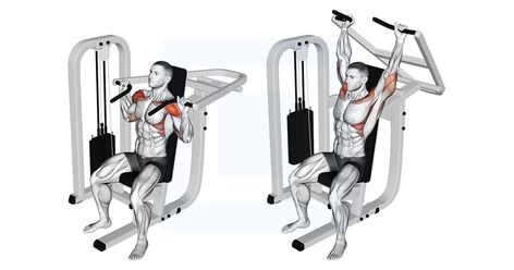 Overhead Shoulder Press, Seated Shoulder Press, Shoulder Press Workout, Shoulder Press Machine, Female Workout, Shoulder Press, Press Machine, Shoulder Workout, Workout Videos