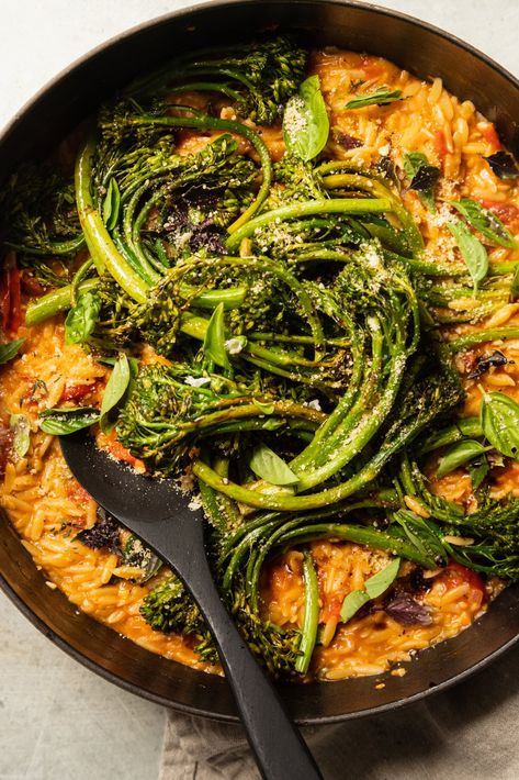 Creamy Tomato Orzo, Tomato Orzo, Between Summer And Fall, Roasted Broccolini, Laura Wright, How To Cook Orzo, Simple Green Salad, Vegan Pasta, Fall Time