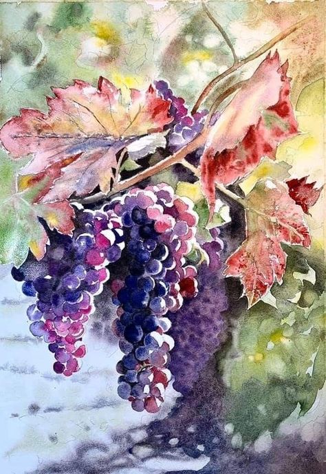 Grapes Painting, Grape Painting, Food Art Painting, Making Wine, Wine Painting, Floral Watercolor Paintings, Cabin Art, Watercolor Fruit, Vintage Drawing