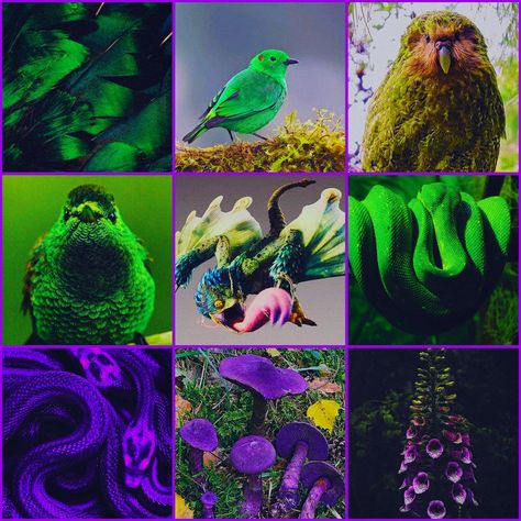 Poison Moodboard, Reptile Aesthetic, Adopt Idea, Monster Hunter World, Aesthetic Moodboard, Exotic Bird, Colorful Bird, Wings Of Fire, Aesthetic Things