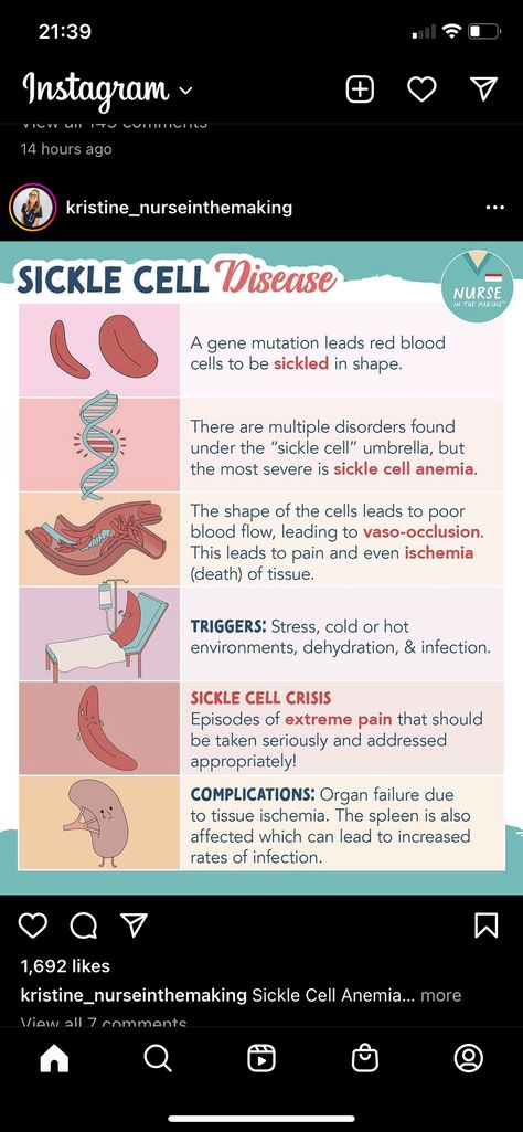 Pediatric Nursing Study Guide, Hematology Notes, Ms Nursing, Pediatric Nursing Study, Hematology Nursing, Concept Map Nursing, Pathophysiology Nursing, Nurse Notes, Nursing Study Tips