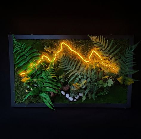 This handmade plant painting accompanied by a colorful LED strip shaped like a mountain, makes the painting unique, lively and even more attractive. All this brings the space to life, creating a healthy ambient climate. In an entrance hall, office, living room, bedroom or even in a workshop, it integrates aesthetically with the architecture. (Size: 85×50cm) Contains moss and preserved foliage. Are used: Cyathea Fern, Athyrium Fern, dried moss. The frame is worked, made of wood, painted by hand. Plant Frame, Framed Plants, Led Wall Art, Painting Unique, Light Wall Art, Moss Wall Art, Handmade Plant, Moss Wall, Plant Painting