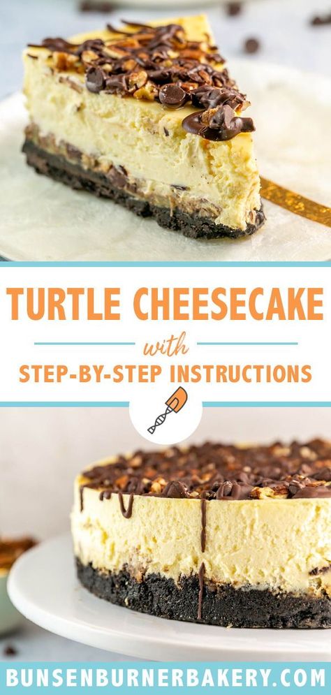 Cheesecake Recipes With Oreo Crust, Cheesecake With Chocolate Crust, White Chocolate Macadamia Nut Cheesecake, Turtle Pecan Cheesecake, Cheesecake Recipes Turtle, Turtle Cheesecake Recipe Easy, Best Cheesecake Recipe Homemade, Easy Turtle Cheesecake, Turtles Cheesecake