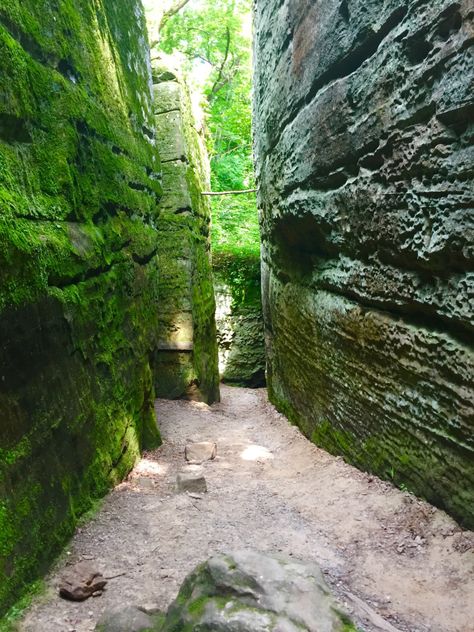 Bucket List With Friends, Forest Exploring, Illinois State Parks, Places To Paint, Shawnee National Forest, Illinois Travel, Escape Pod, Vacation Locations, Garden Of The Gods