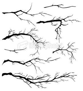 Tree / branch drawing Boom Kunst, Branch Drawing, Tattoo Tree, Drawing Eyes, Bare Tree, Branch Design, Seni Cat Air, 수채화 그림, Ink Drawings